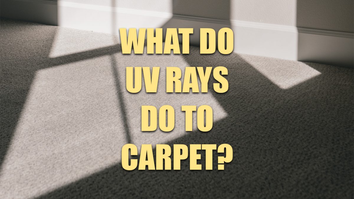 What do Ultraviolet Radiation Rays do to carpet